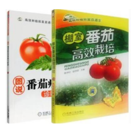 大棚番茄种植技术大全日光温室西红柿栽培嫁接修剪防病6光盘3书籍