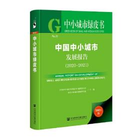 中国中小城市发展报告（2020~2021）