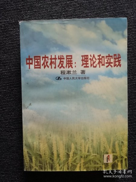 中国农村发展:理论和实践