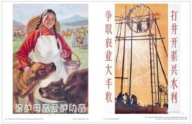 THE NEW CHINA NEW YEAR PICTURE 中国老年画 解放初期老海报 宣传画 1950至1990THE NEW CHINA POSTERS