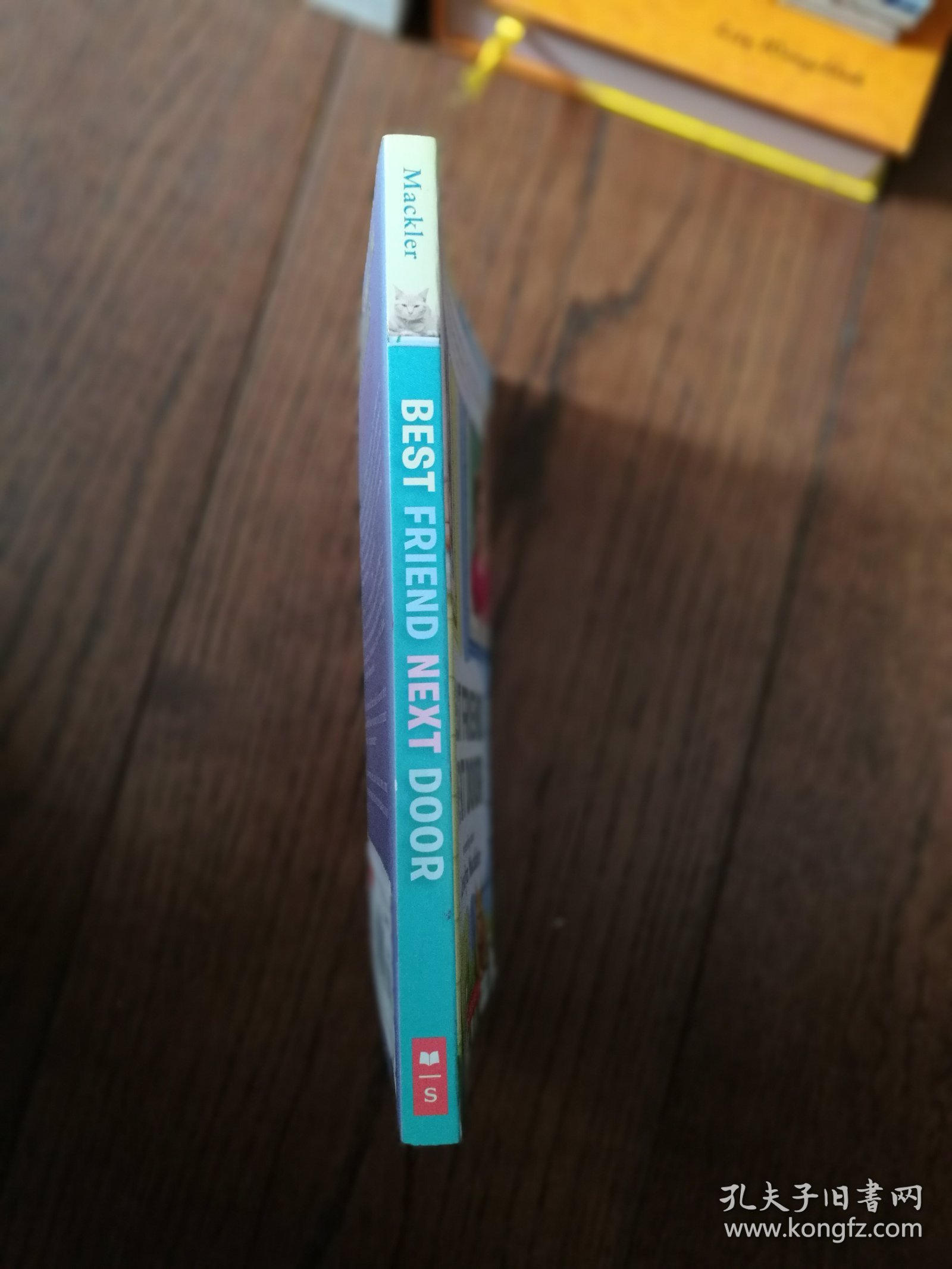 BEST FRIEND NEXT DOOR（英文原版。隔壁最好的朋友。32开。2015）