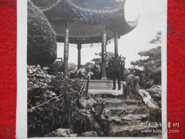 照片 牡丹亭