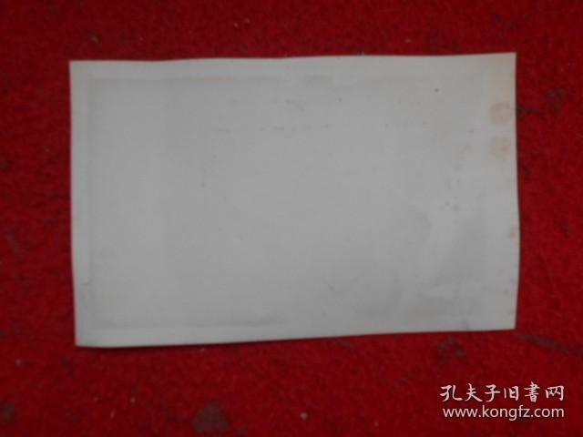 照片 毛泽东与林彪
