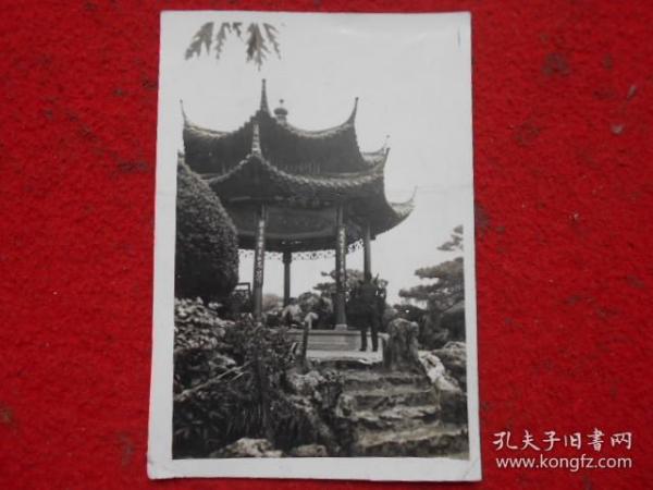 照片 牡丹亭