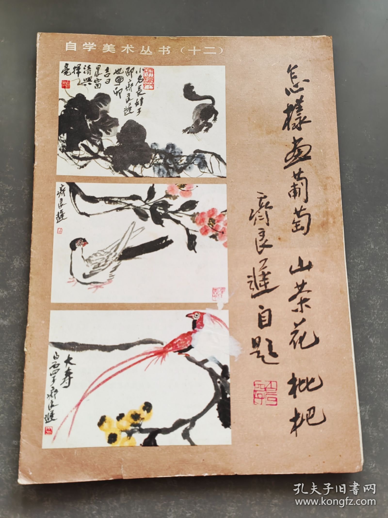 怎样画葡萄、山茶花、枇杷