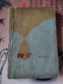 种子（短篇小说集）