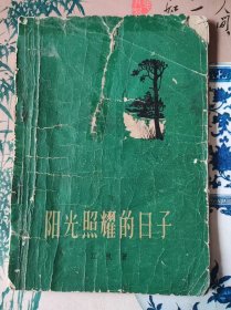 阳光照耀的日子