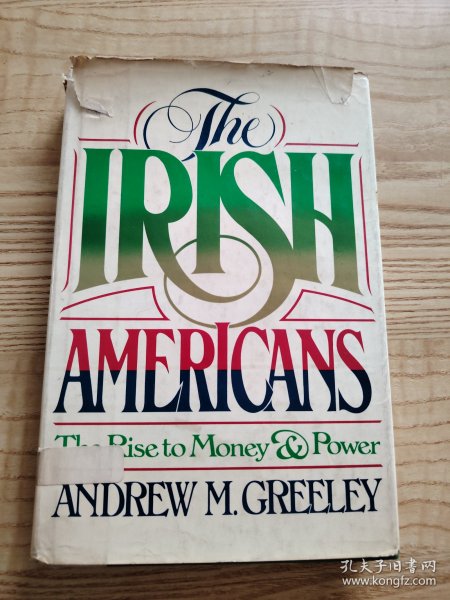 the Irish Americans the rise to money power 爱尔兰裔美国人掌握了金钱权力
