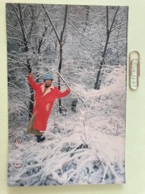 冬日色彩 多单合并运费满百包邮只发快递 彩色老照片非黑白老照片 全网同售 不定期下架 加购请及时付款 欢迎选购 241201PSD
