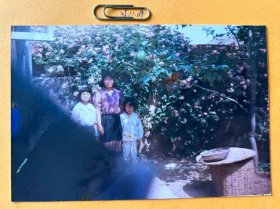 花开满院 多单合并运费满百包邮只发快递 彩色老照片非黑白老照片 全网同售 不定期下架 加购请及时付款 欢迎选购 251109PSD