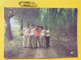 乡村风光 多单合并运费满百包邮只发快递 彩色老照片非黑白老照片 全网同售 不定期下架 加购请及时付款 欢迎选购 241109PSD