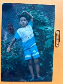 牵牛花旁 多单合并运费满百包邮只发快递 彩色老照片非黑白老照片 全网同售 不定期下架 加购请及时付款 欢迎选购 251109PSD