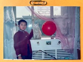 窗前 多单合并运费满百包邮只发快递 彩色老照片非黑白老照片 全网同售 不定期下架 加购请及时付款 欢迎选购 251109PSD