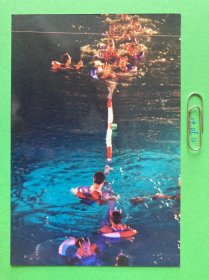 泳池 多单合并运费满百包邮只发快递 彩色老照片非黑白老照片 全网同售 不定期下架 加购请及时付款 欢迎选购 240810PSD