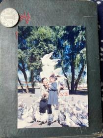 鸽子公园留影 彩色老照片非黑白老照片 老照片满百包邮只发快递 本店更有70-90年代老年画 欢迎选购