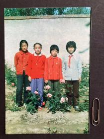 月季花前 多单合并运费满百包邮只发快递 彩色老照片非黑白老照片 全网同售 不定期下架 加购请及时付款 本店更有70-90年代老年画 欢迎选购 2307023APSD