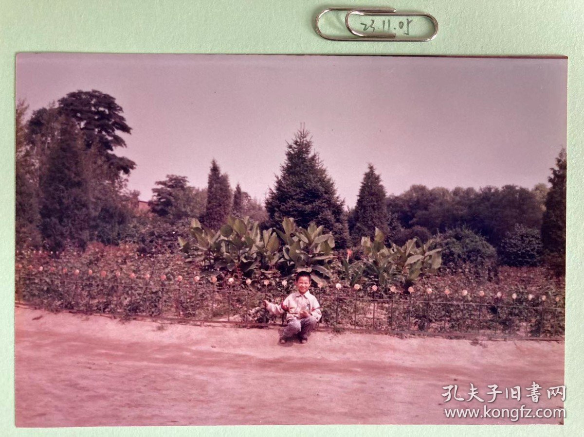 花坛前的少年 多单合并运费满百包邮只发快递 彩色老照片非黑白老照片 全网同售 不定期下架 加购请及时付款 本店更有70-90年代老年画 欢迎选购 231105PSD