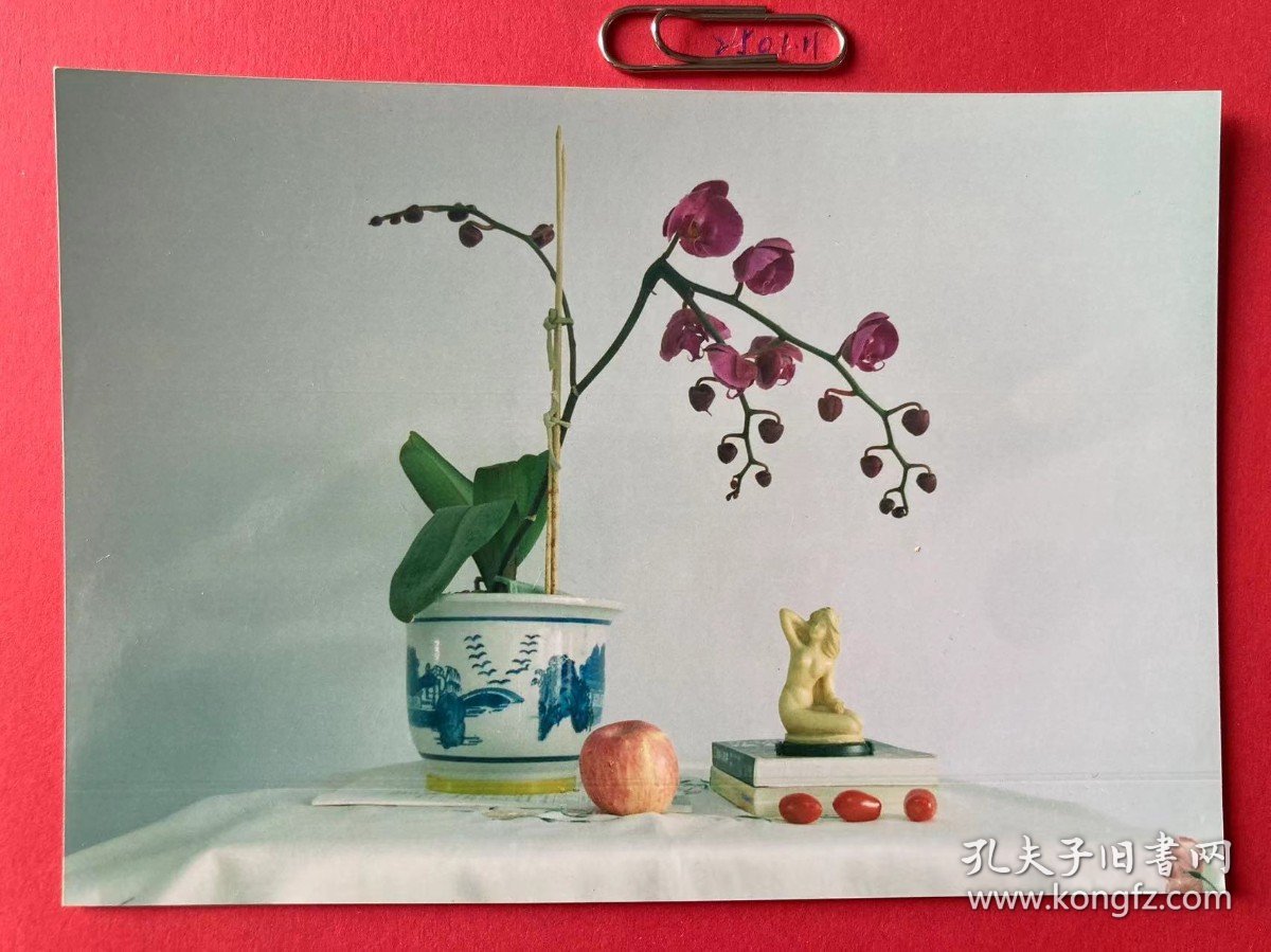 静物拍照 多单合并运费满百包邮只发快递 彩色老照片非黑白老照片 全网同售 不定期下架 加购请及时付款 欢迎选购 250111PSD