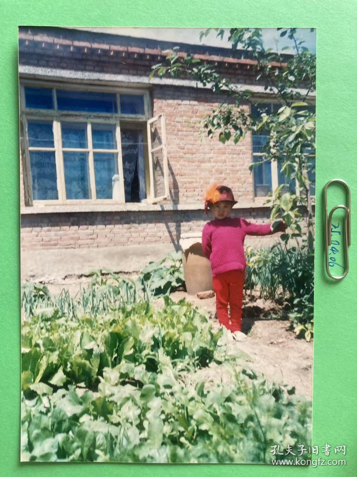 小菜园 多单合并运费满百包邮只发快递 彩色老照片非黑白老照片 全网同售 不定期下架 加购请及时付款 欢迎选购 250406PSD