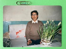 水仙花开 多单合并运费满百包邮只发快递 彩色老照片非黑白老照片 全网同售 不定期下架 加购请及时付款 欢迎选购 240810PSD