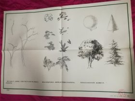 徐佛华等、卢象太等画 树木画法 小学美术课教学图片铅笔画上海教育出版社有上海市朝阳第九中学红园图章宣传画一张8品