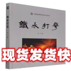 铁水打花 史飞 中国摄影出版传媒有限责任公司 9787517912156