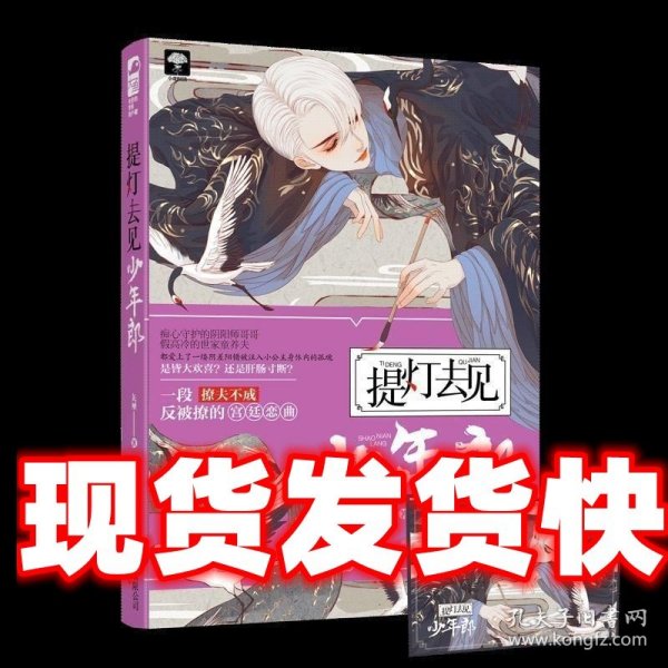 提灯去见少年郎