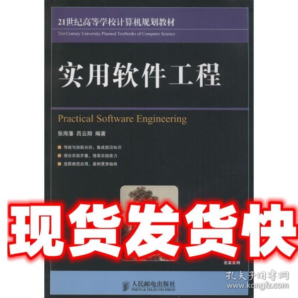 实用软件工程/21世纪高等学校计算机规划教材·名家系列