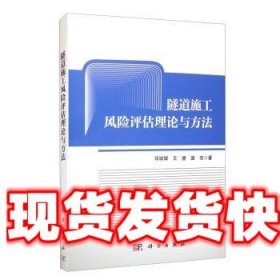 隧道施工风险评估理论与方法 邓祥辉,王睿,国亮 著 科学出版社