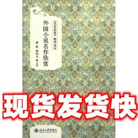 外国小说名作欣赏  萧乾,柳鸣九　等著 北京大学出版社