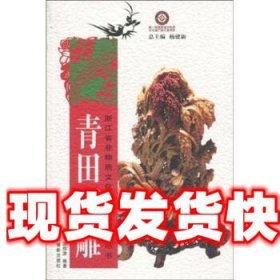 青田石雕 陈墨,洪炜津,杨建新 著 浙江摄影出版社 9787806867792