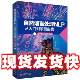 自然语言处理NLP从入门到项目实战：Python语言实现