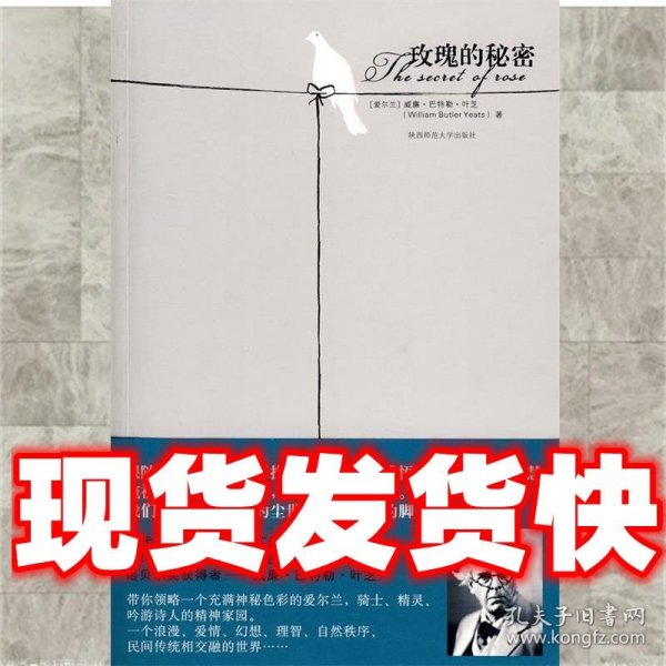 玫瑰的秘密  （爱尔兰）叶芝　著,黄声华　译 陕西师范大学出版社