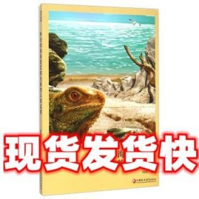 海洋密码科普丛书：神奇的海陆变迁和失落的人类文明