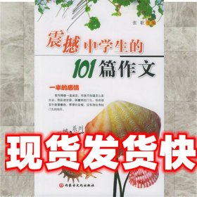 《發(fā)貨快》震撼中學(xué)生的101篇作文—震撼系列 張歌 內(nèi)蒙文化出版
