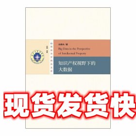 《发货快》知识产权视野下的大数据 王德夫 社会科学文献出版社