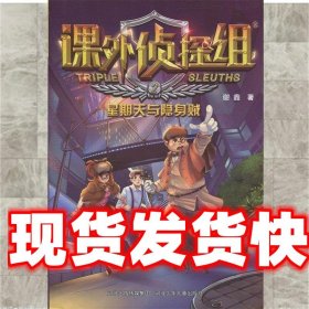 课外侦探组新版：星期天与隐身贼 谢鑫 著 河北少年儿童出版社