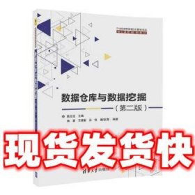 数据仓库与数据挖掘（第二版）/21世纪高等学校计算机专业核心课程规划教材