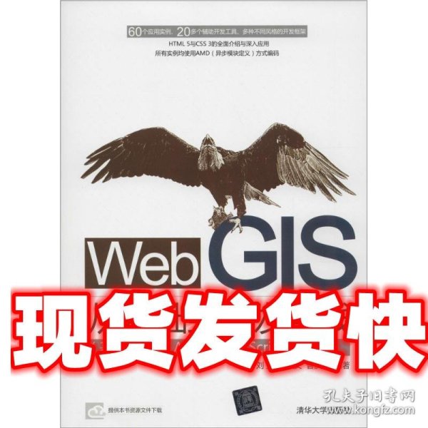 Web GIS从基础到开发实践：基于ArcGIS API for JavaScript