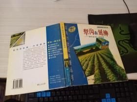 犁沟在延伸:“替代农业”的发展（缺失扉页，正文完好，详情看图）