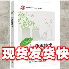 洁净煤技术 王文举 电子工业出版社 9787121381881