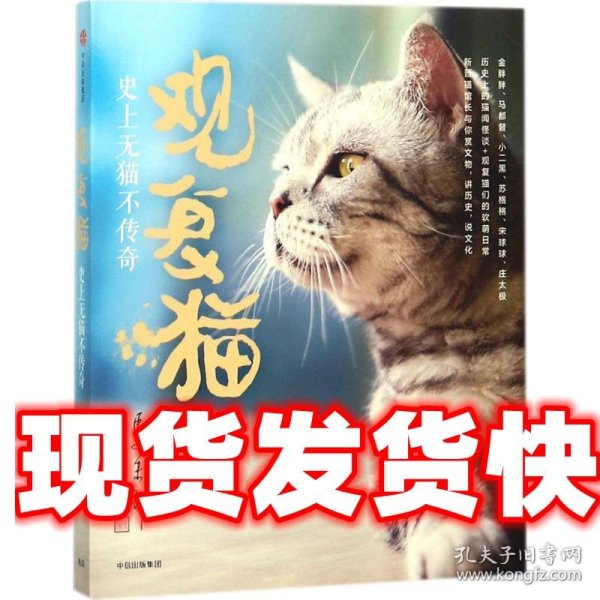 观复猫：史上无猫不传奇