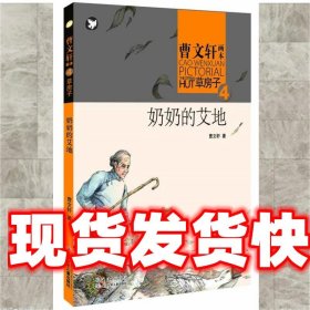 奶奶的艾地 曹文轩 湖北少儿出版社 9787535399137