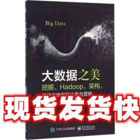 大数据之美：挖掘、Hadoop、架构，更精准地发现业务与营销