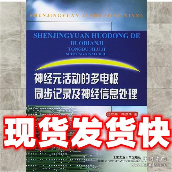 神经元活动的多电极同步记录及神经信息处理