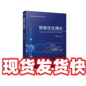 智能优化理论 吴正言 机械工业出版社 9787111744917