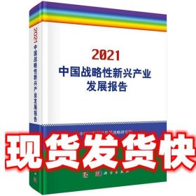 2021中国战略性新兴产业发展报告 中国工程科技发展战略研究院 科