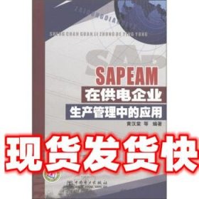 SAP EAM在供电企业生产管理中的应用 黄汉棠等 中国电力出版社