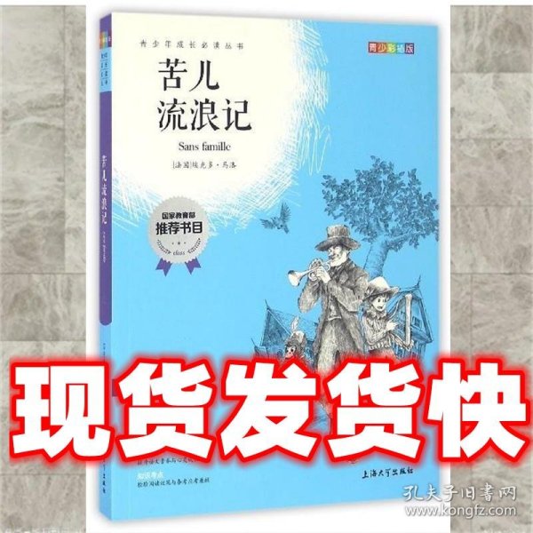 钟书图书·我最优阅·青少版彩插版·苦儿流浪记（第二辑）