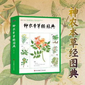 神农本草经图典（精装）